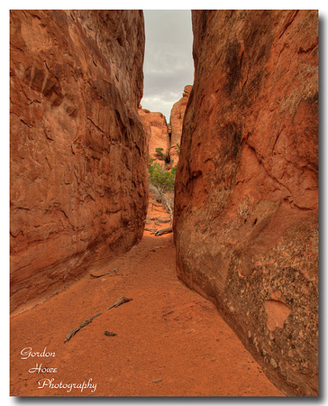 The Fins 1, Arches NP
