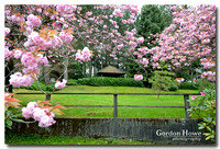 Tamagawa Garden 4