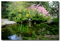 Tamagawa Garden 5
