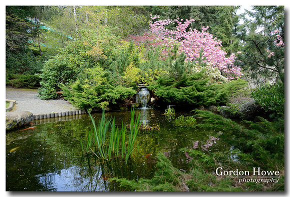 Tamagawa Garden 5