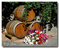 Vineyards and Wineries
