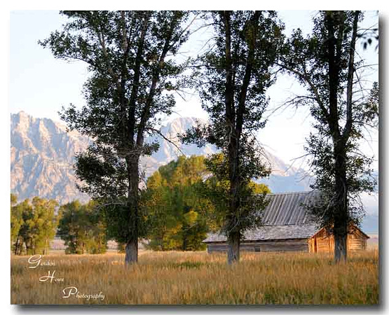 Mormon Barns, Grand Tetons National Park 3