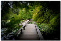 Van Dusen Botanical Garden, Vancouver, BC