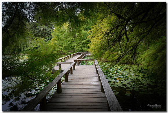 Van Dusen Botanical Garden, Vancouver, BC