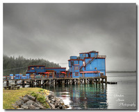 Ice House, Tofino 1