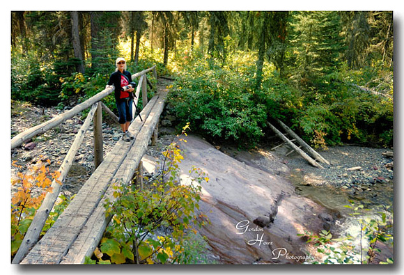 Glacier National Park 4