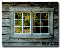 Grist Mill in Keremeos 2