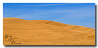 Palouse, Wa 1